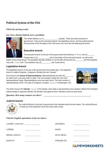 The U.S.A. - Political System