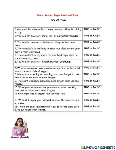 Bones, Muscles, Lungs, Heart and Brain