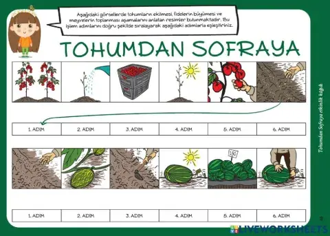 Tohumdan sofraya