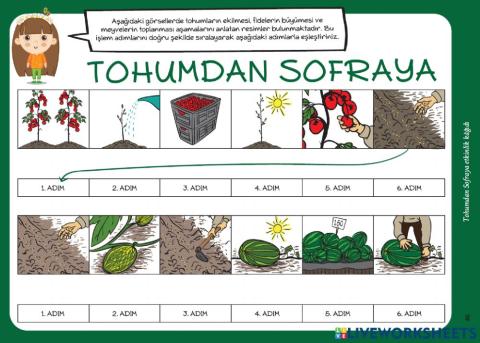 Tohumdan sofraya