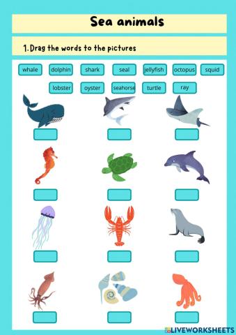 Sea animals