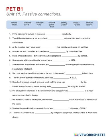 PET B1 Passive Connections