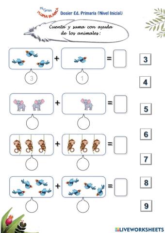 Sumas Pluma Blanca Primaria Inicial