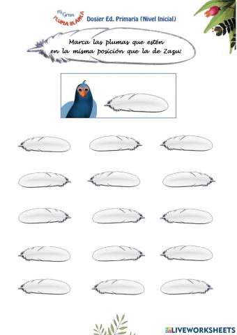 Orientación y atención Pluma Blanca Primaria Inicial