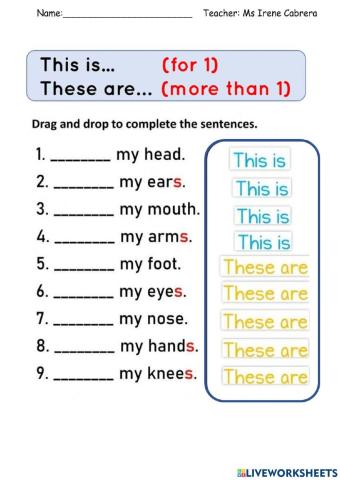 Body parts. This is- These are