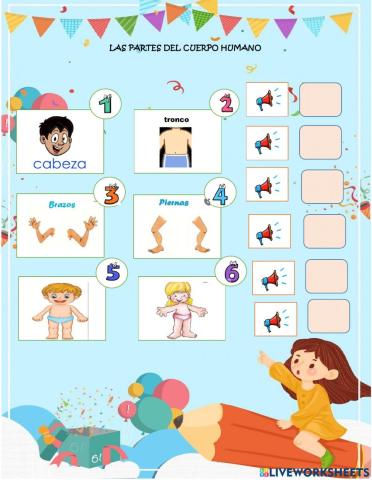 Las partes del cuerpo humano
