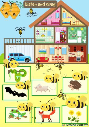 Parts of the house and animals