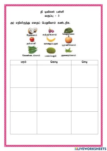 Class - 3 worksheet - 3