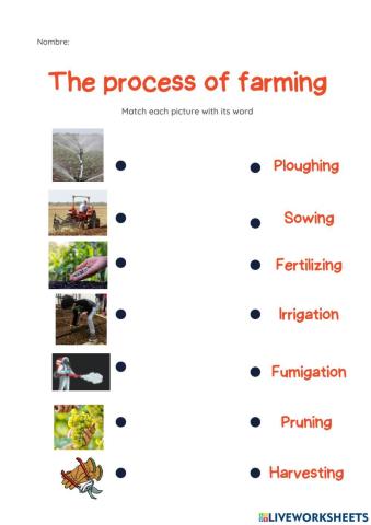 The process of farming