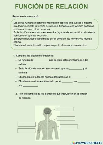 Función de relación