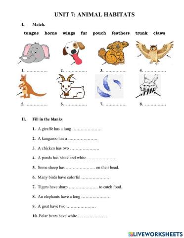 EOW3 - Unit 7 - Vocab 2