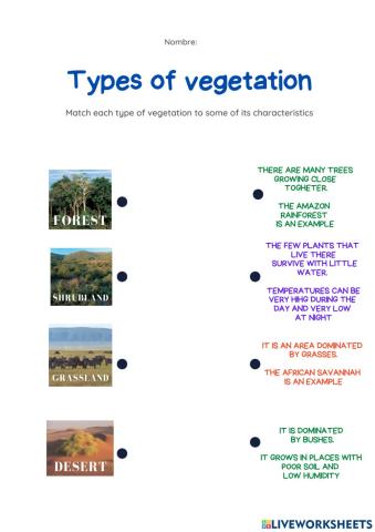 Types of vegetation