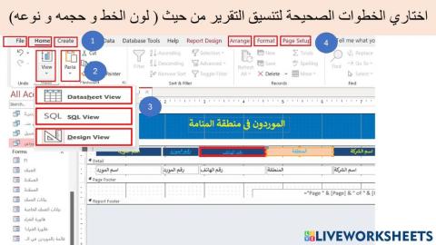 تنسيق التقارير2