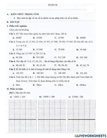 Toán 4 - Tuần 31 Bài tập