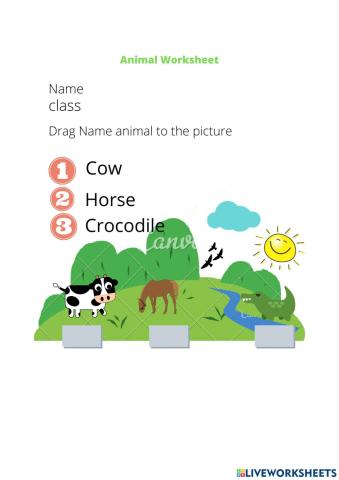 Drag name of animal with animal picture