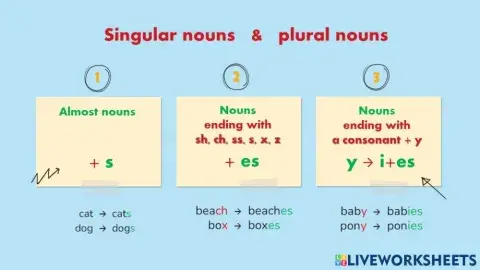 Singular and Plural Nouns