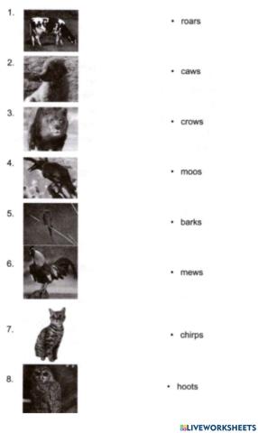 Sm sd 2 articles a, an