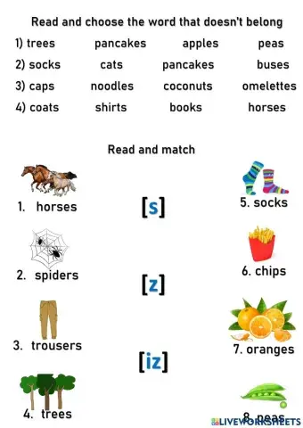 Phonics -s -es endings