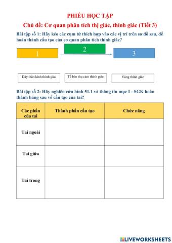 Cơ quan phân tích thính giác