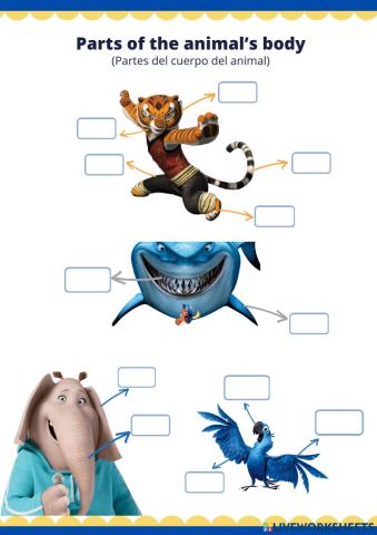 Parts of the animal 