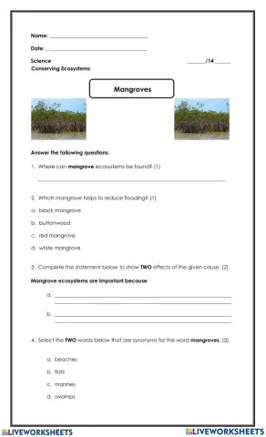 Ecosystem Mangroves