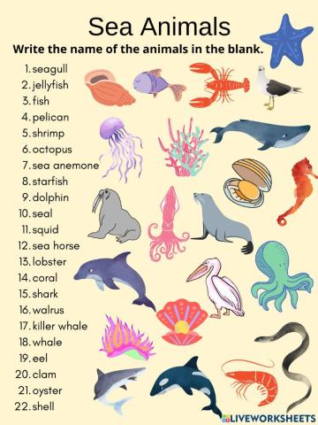 Sea Animals
