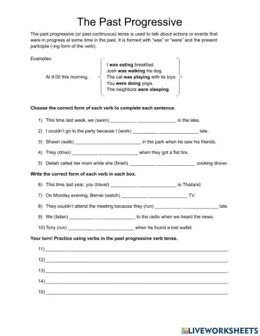 The Past Progressive