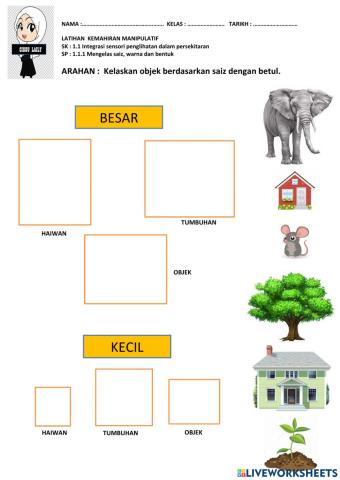 Latihan mengelaskan saiz dan warna