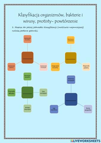Klasyfikacja organizmów, bakterie i wirusy, protisty- Powtórzenie -Biologia-