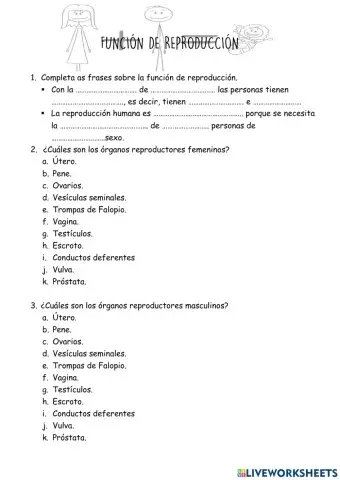 Función de Reproducción