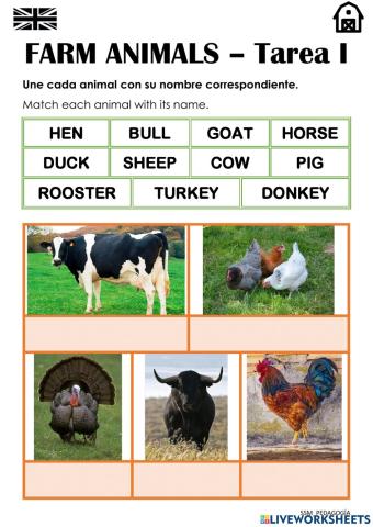 FARM ANIMALS - Tarea 1
