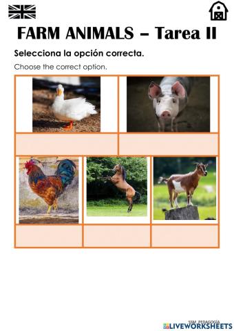 FARM ANIMALS - Tarea 2