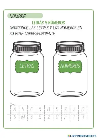 Letras y numeros