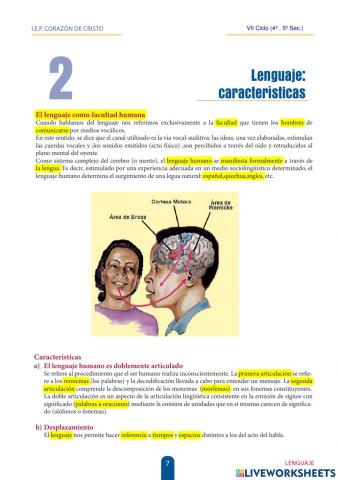 Lenguaje-caracteristicas