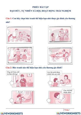 Khảo sát Đạo đức, HĐTN, TNXH