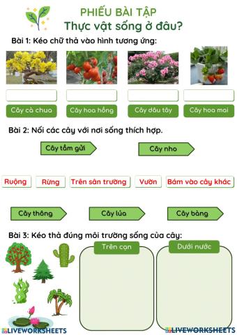 Thực vật sống ở đâu