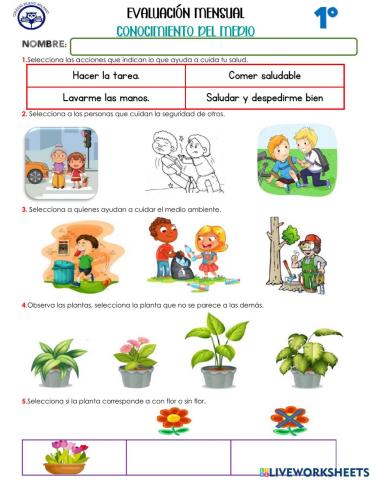 Conocimiento del medio