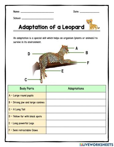 Adaptation of Leopard
