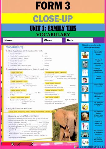 Close up unit 1 family ties vocabulary page 8