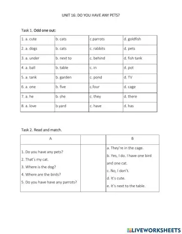 E3-Unit 16: Do you have any pets?