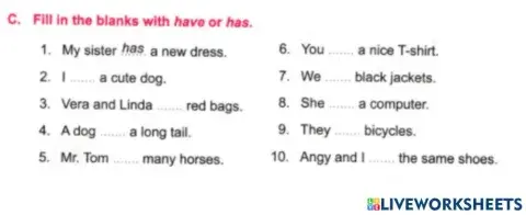 Sm sd 3 HAS AND HAVE