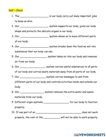 Science - Our Amazing Body