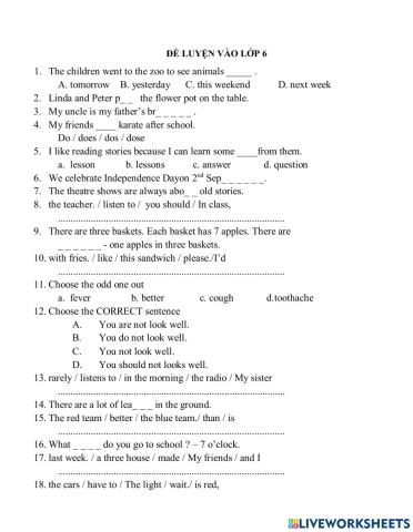 Luyện Thi IOE lớp 5 cấp huyện 2021