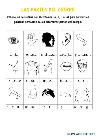 Las partes del cuerpo