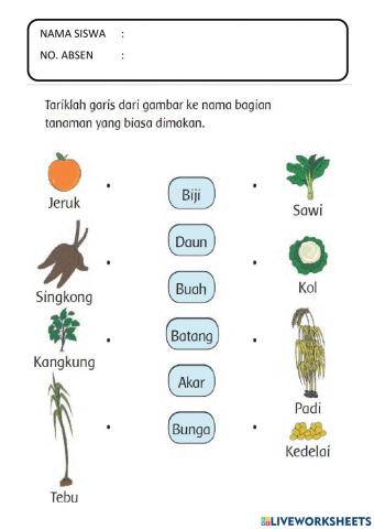 Tema 7 subtema 3 pb 5 124