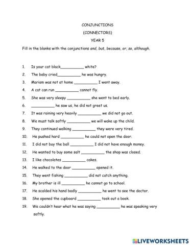 Conjunctions (Connectors)
