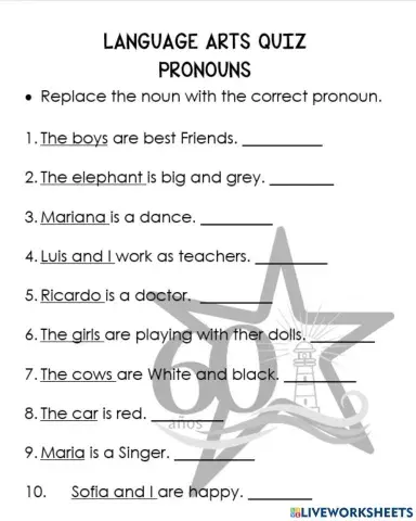 Pronouns