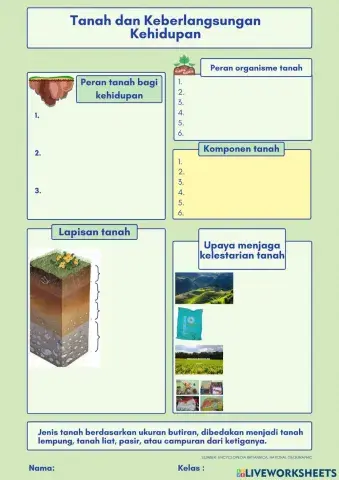 Tanah dan keberlangsungan kehidupan