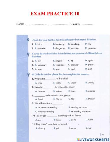 Exam practice 10