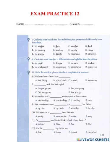 Exam practice 12